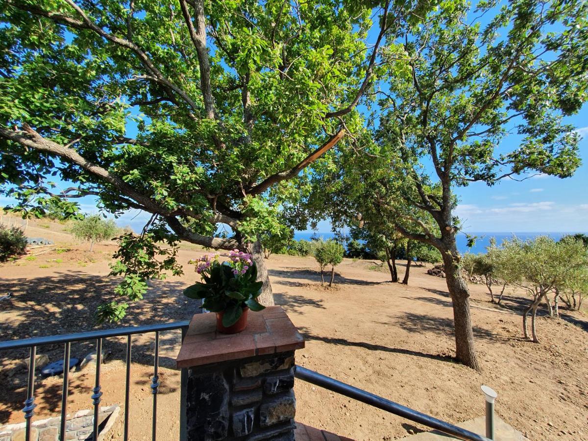 Agriturismo Le Terre di Veneré Acciaroli Esterno foto