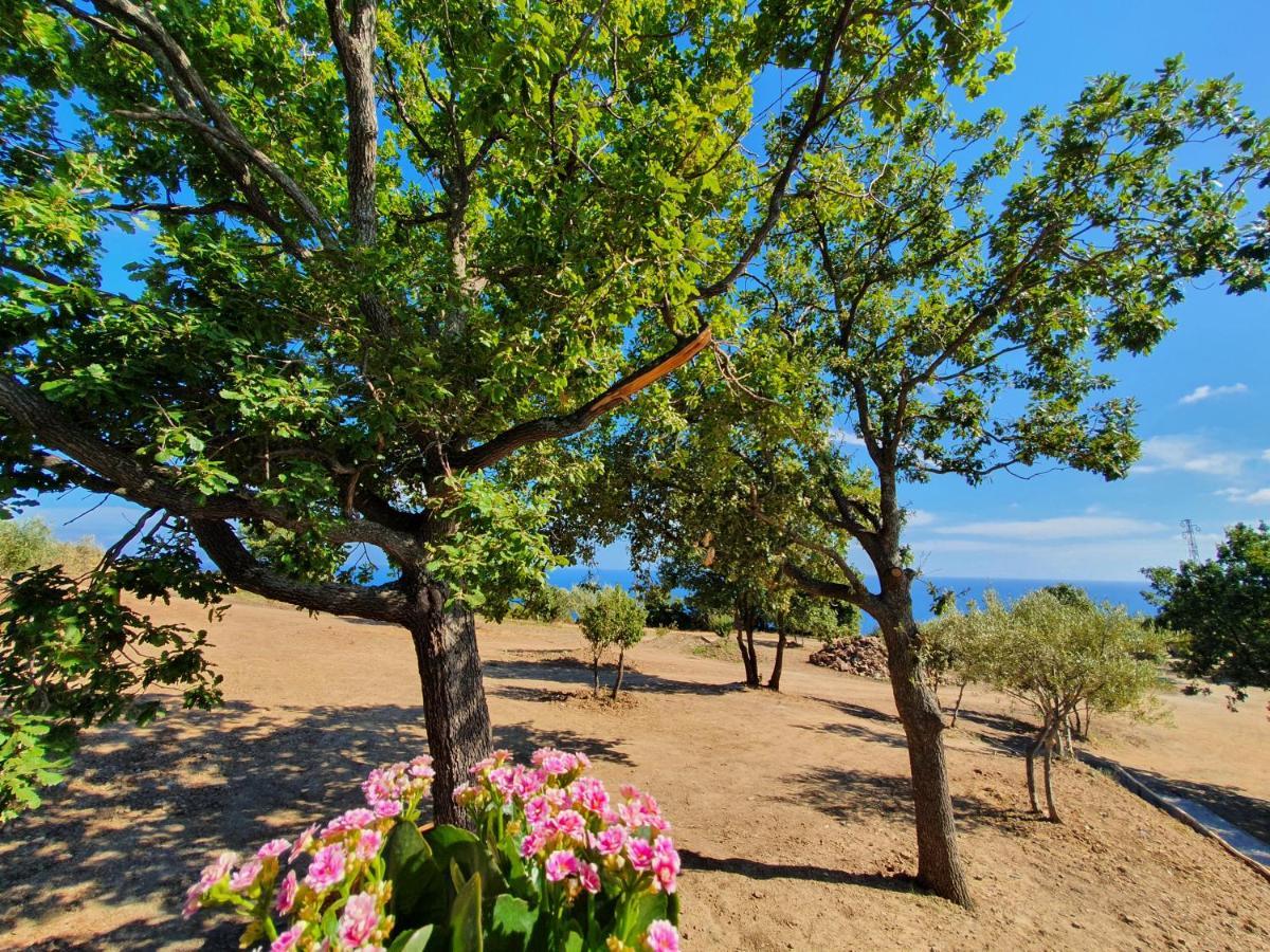 Agriturismo Le Terre di Veneré Acciaroli Esterno foto