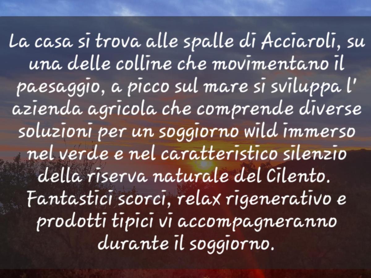 Agriturismo Le Terre di Veneré Acciaroli Esterno foto