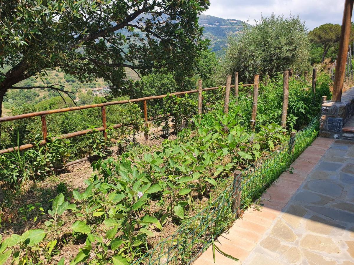 Agriturismo Le Terre di Veneré Acciaroli Esterno foto