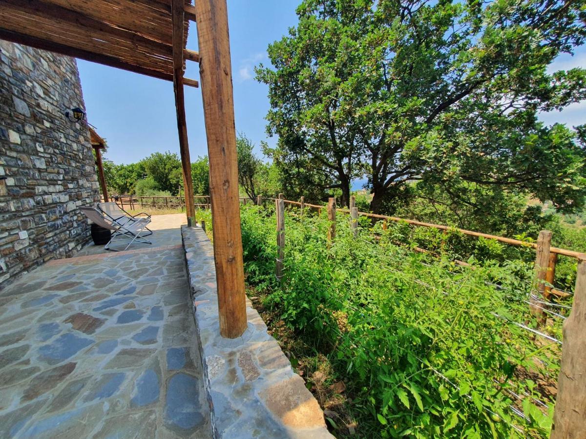 Agriturismo Le Terre di Veneré Acciaroli Esterno foto