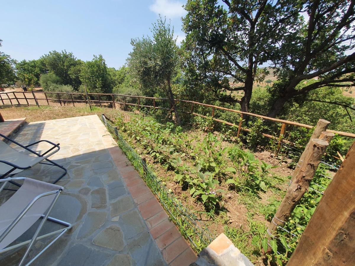 Agriturismo Le Terre di Veneré Acciaroli Esterno foto