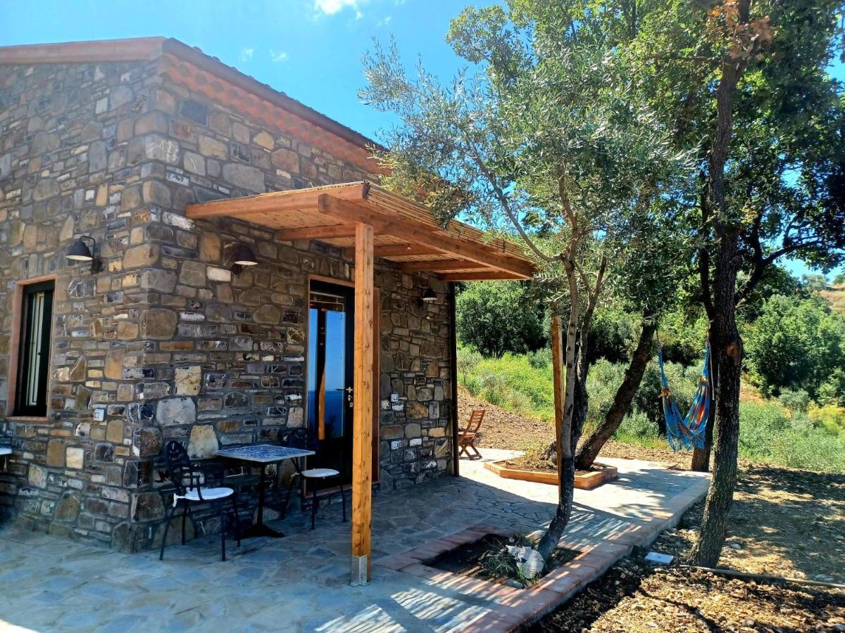 Agriturismo Le Terre di Veneré Acciaroli Esterno foto