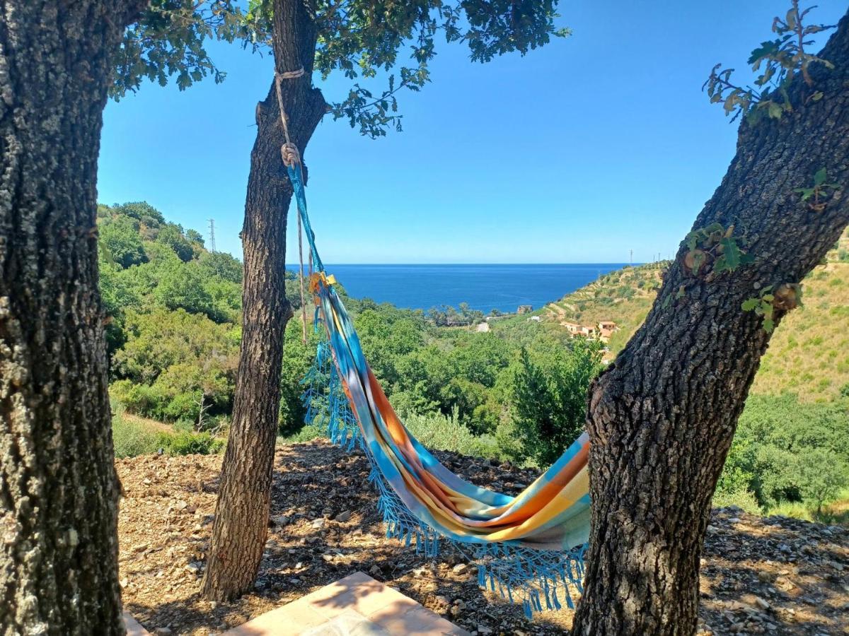 Agriturismo Le Terre di Veneré Acciaroli Esterno foto