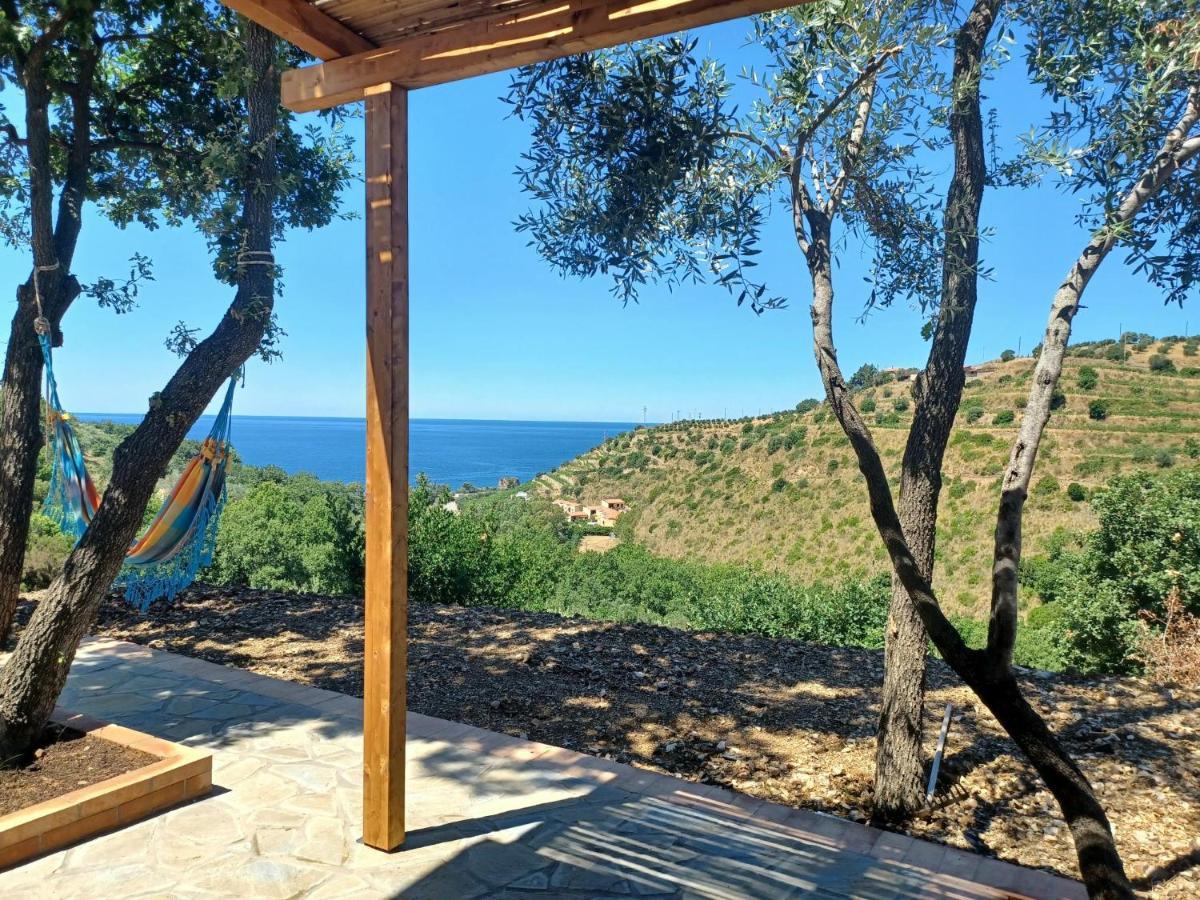 Agriturismo Le Terre di Veneré Acciaroli Esterno foto