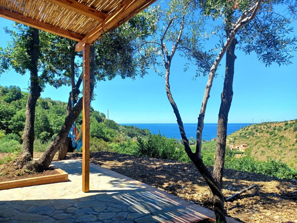 Agriturismo Le Terre di Veneré Acciaroli Esterno foto